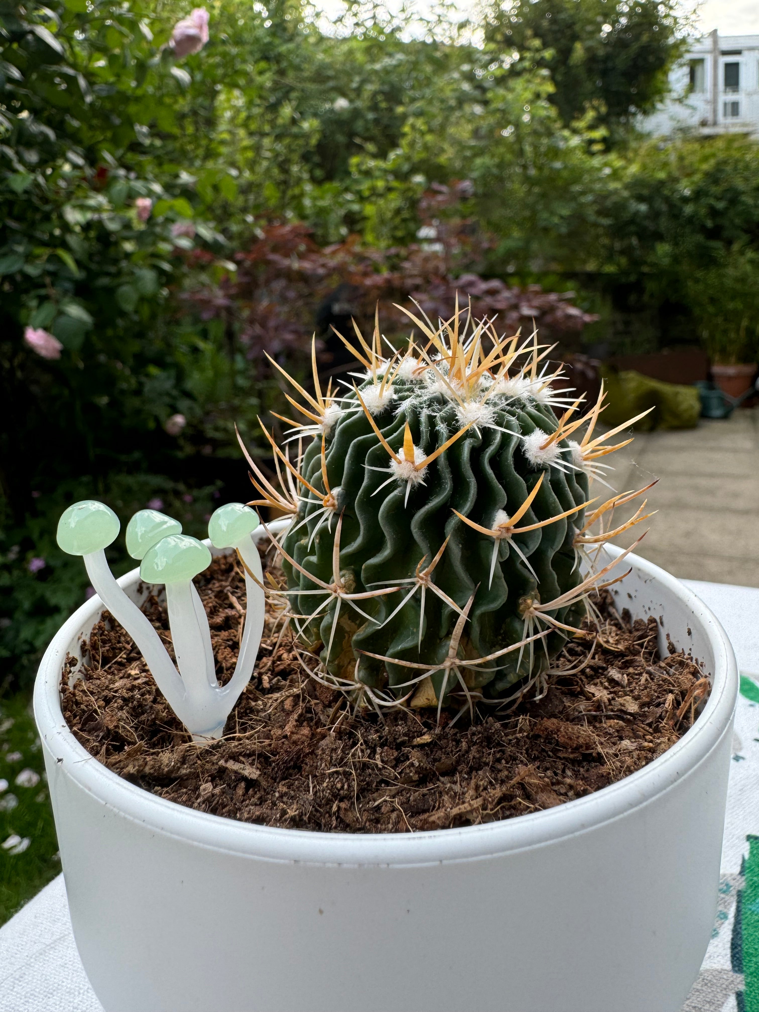 Mushroom Plant Stakes