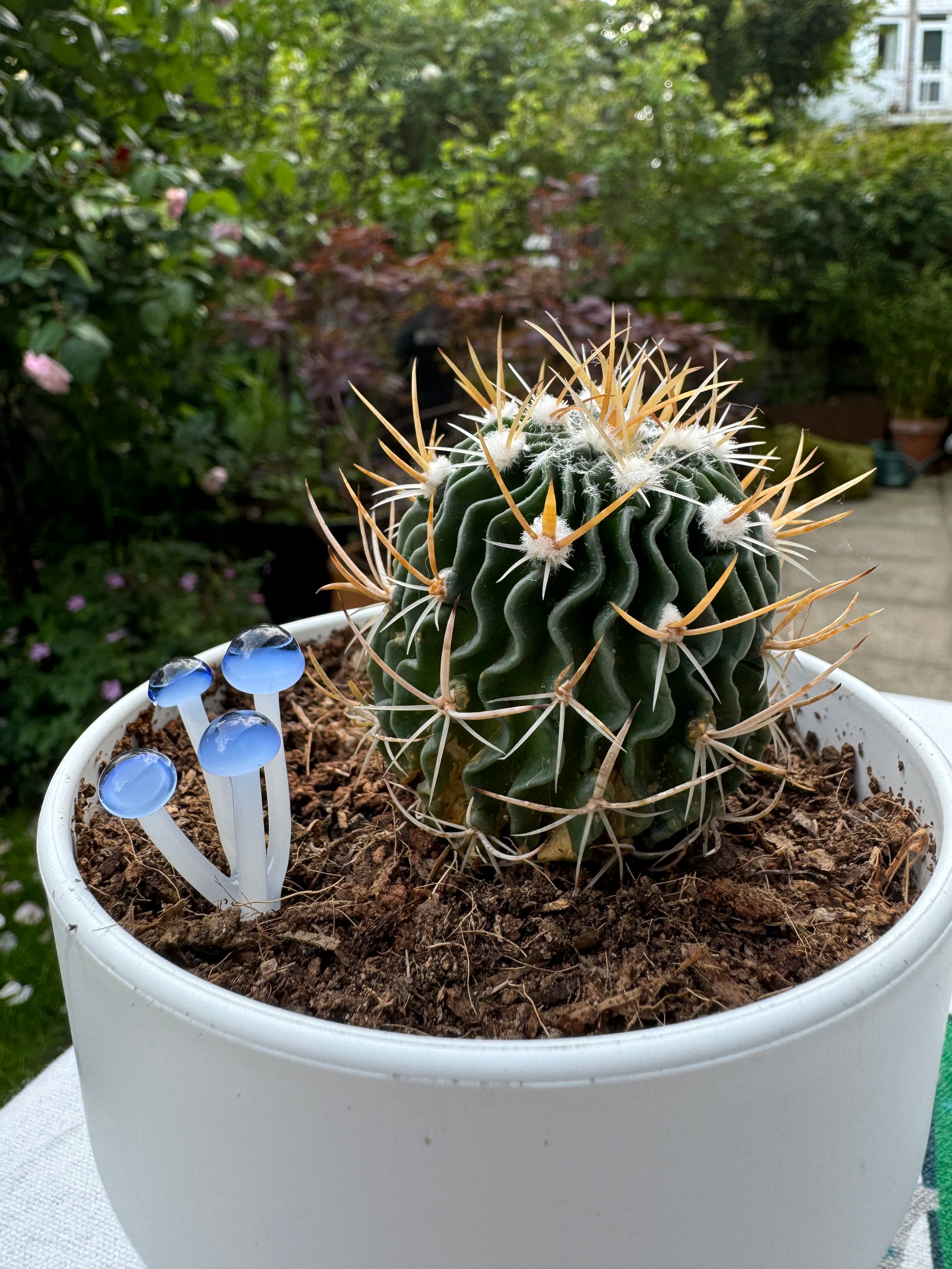 Mushroom Plant Stakes